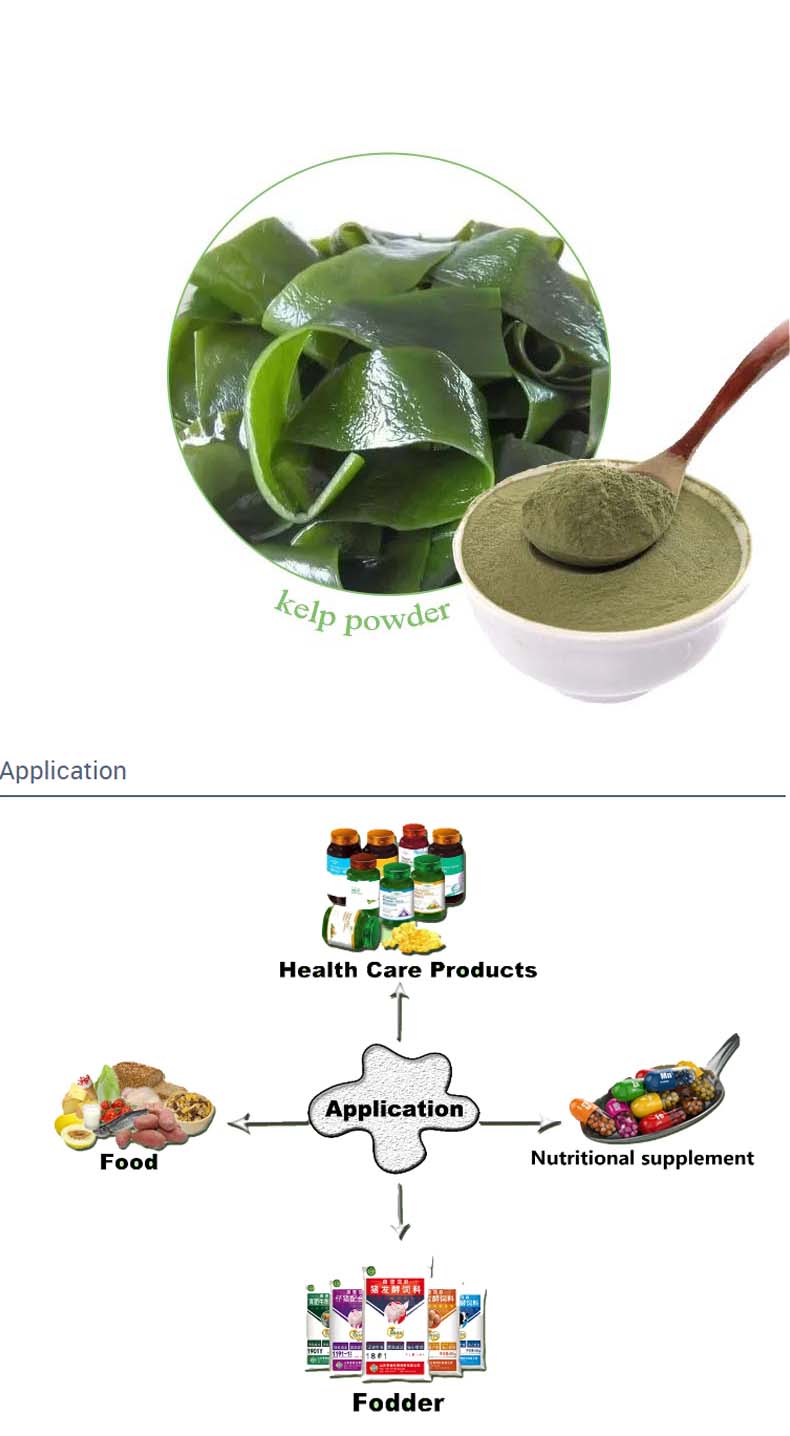 kelp powder2.jpg