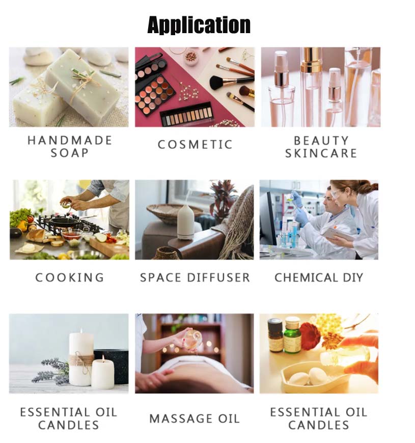 Application2.jpg