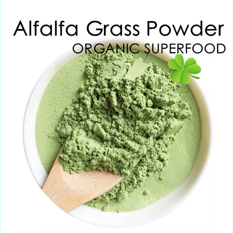 Alfalfa-Powder-Alfalfa-Grass-Powder-Tricin-Alfalfa-Extract-Powder (1).jpg