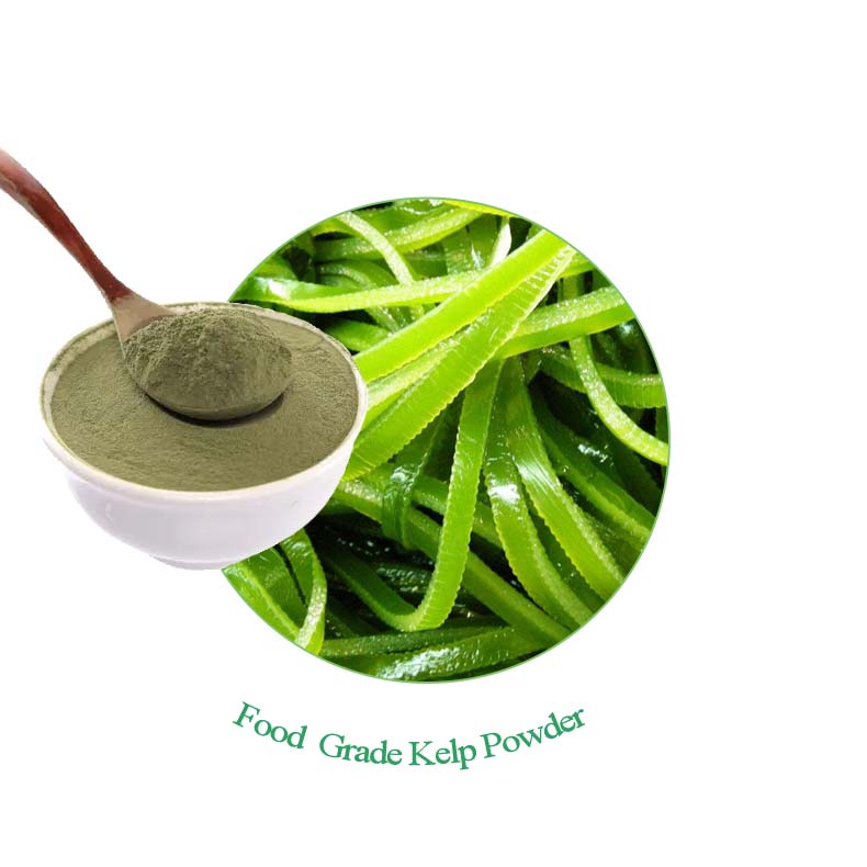 Taima flavor kelp powder Food grade flavor