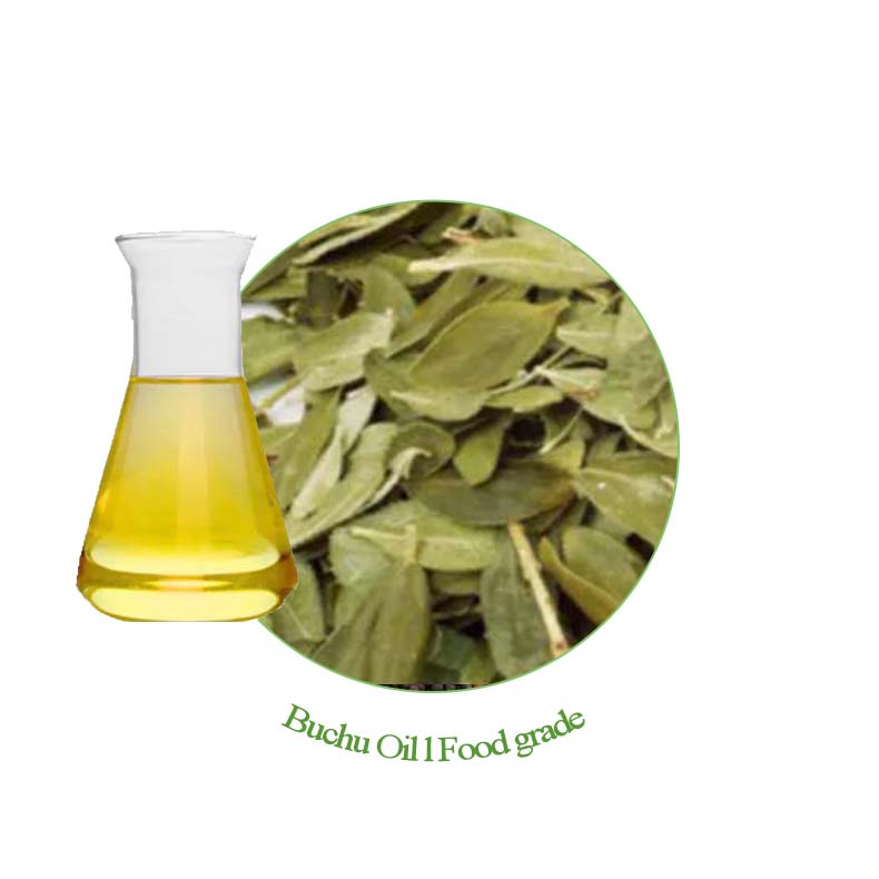 Agathosma Betulina Oil Buchu Oil CAS 68650-46-4