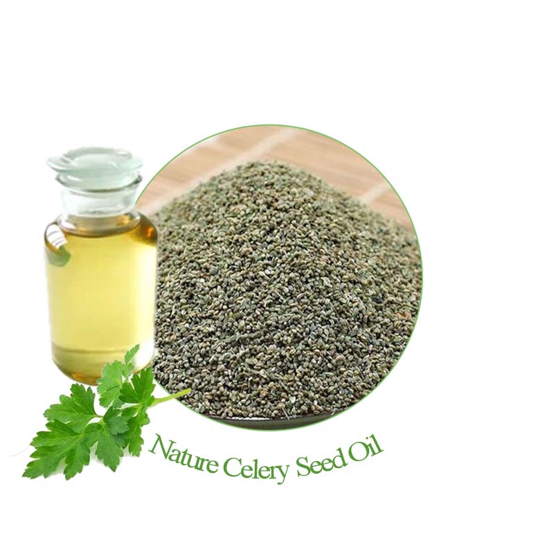 Celery Seed Oil CAS 8015-90-5/Organic Celery Seed Essential Oil