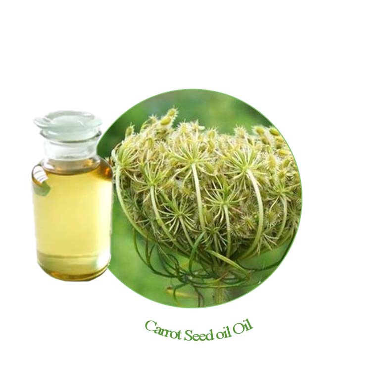 Carrot seed oil/ Carotol CAS:8015-88-1