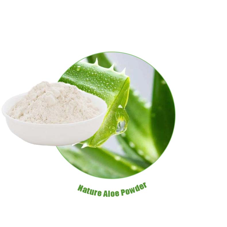Aloe Vera Whole Leaf Aloe Barbadensis Leaf Juice Powder